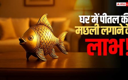 घर में पीतल की मछली क्यों रखनी चाहिए? जानिए इसका वास्तु, ज्योतिष और धार्मिक महत्व