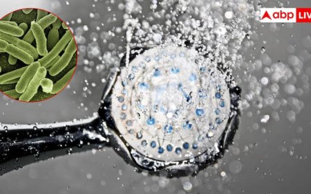 क्या आप भी रोज लेते हैं शॉवर तो अपने फेफड़ों को बना रहे इंफेक्शन का शिकार? यह बैक्टीरिया बना खतरा