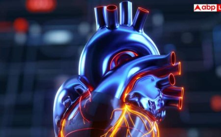 Second Heart in Human Body: शरीर में कहां होता है दूसरा दिल? फटाफट जान लीजिए जवाब