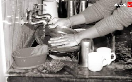 मोटी सैलरी, एनुअल हाइक और भी बहुत कुछ... मेड को मिलती है इतनी फेसिलिटी, सुनकर कॉर्पोरेट वर्कर भी शरमा जाए