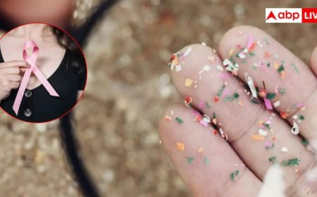 माइक्रोप्लास्टिक बढ़ा सकता है ब्रेस्ट कैंसर का खतरा, जानें रोजमर्रा की आदतें कैसे बन रहीं खतरनाक?
