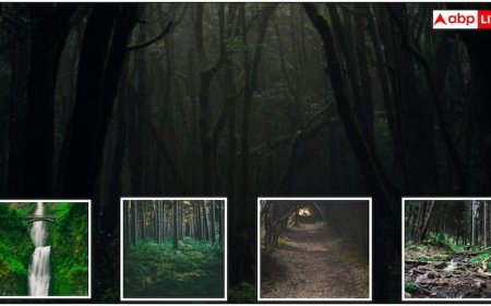 Diwali 2025: जहां भगवान राम ने किया था वनवास, वह जगह अब कहां? समझें वहां पहुंचने का तरीका