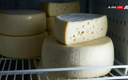 Synthetic Paneer: बाजार में कितने तरह का बिकता है पनीर, जानें कौन-सा सेहत के लिए कितना खतरनाक?