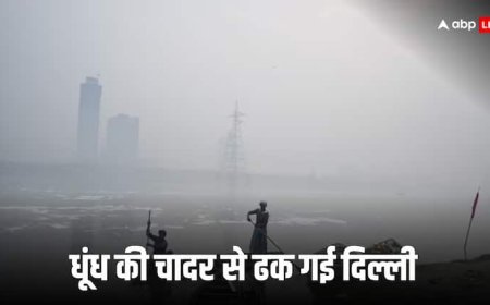 पाकिस्तान की पराली उत्तर भारत की हवा में घोल रही जहर, लाहौर-सियालकोट-गुजरांवाला में जल रहे खेत, NASA की सैटेलाइट तस्वीर में दिखे सबूत