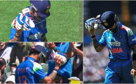 विराट कोहली ने वनडे क्रिकेट से भी ले लिया संन्यास? एडिलेड में जीरो पर आउट होने के बाद किया इशारा; VIDEO