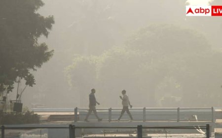 दिल्ली में बढ़ रहा एयर पॉल्यूशन, सुबह की सैर करें या नहीं? एक्सपर्ट से जानें