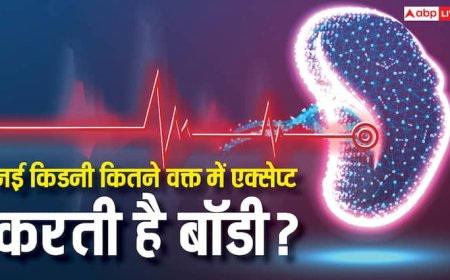 Kidney Transplant: ट्रांसप्लांट के बाद शरीर को एक्सेप्ट करने में कितना वक्त लेती है किडनी, सपोर्ट न करे तो जान बचाने के क्या ऑप्शन?