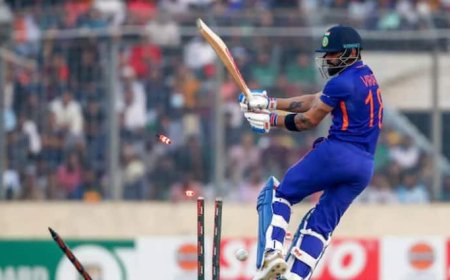 क्रिकेट में 8 तरह के होते हैं डक, बिना गेंद खेले जीरो पर आउट हो जाए बल्लेबाज तो उसे क्या कहेंगे? जानें सबकुछ