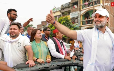 Bihar Election: बिहार के चुनावी मैदान में इस दिन उतरेंगे राहुल गांधी, तेजस्वी यादव संग महागठबंधन रैली से होगा आगाज