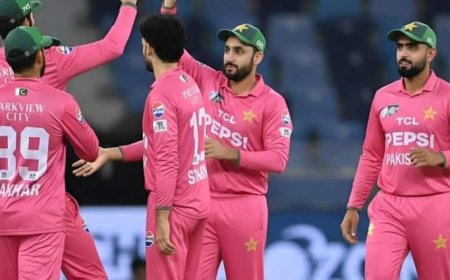 PAK vs SA: शाहीन अफरीदी फिफ्टी से चूके, दक्षिण अफ्रीका ने PAK गेंदबाजों का बनाया भूत, दिया 195 का लक्ष्य