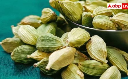 खाना खाने के बाद इलायची चबाने से क्या होता है? हकीकत जान लेंगे तो आप भी करेंगे यह काम