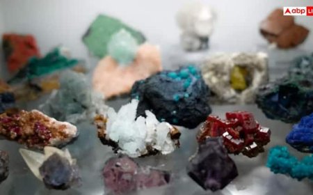 रेयर अर्थ को लेकर नरम पड़े चीन के तेवर, 3 कंपनियों को दी आयात की मंजूरी