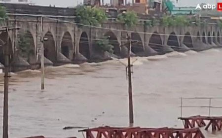 Telangana: हनुमकोंडा में भारी बारिश के बाद बाढ़ का संकट, वड्डेपल्ली तालाब से छोड़े गए पानी ने मची तबाही