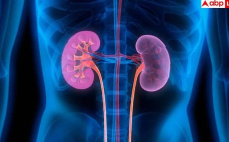 What Happens to Old Kidney after Transplant: किडनी ट्रांसप्लांट के बाद पुरानी किडनी का क्या करते हैं डॉक्टर? होश उड़ा देगी यह हकीकत