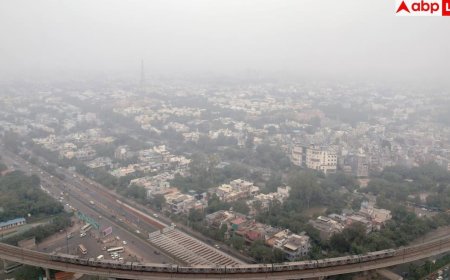 Delhi Air Pollution: दिल्ली की हवा को क्या चीज बनाती है जहरीला, पराली से लेकर धुआं तक... किस चीज के लिए क्या जिम्मेदार?