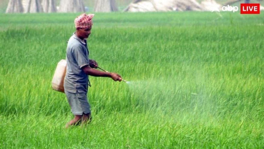 दिवाली से पहले किसानों को मोदी सरकार का गिफ्ट, इन छह फसलों पर बढ़ाई गई MSP