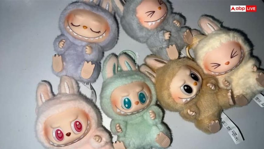 Labubu Doll को घर में रखना चाहिए या नहीं? वास्तु के नियमों से जानें रहस्य