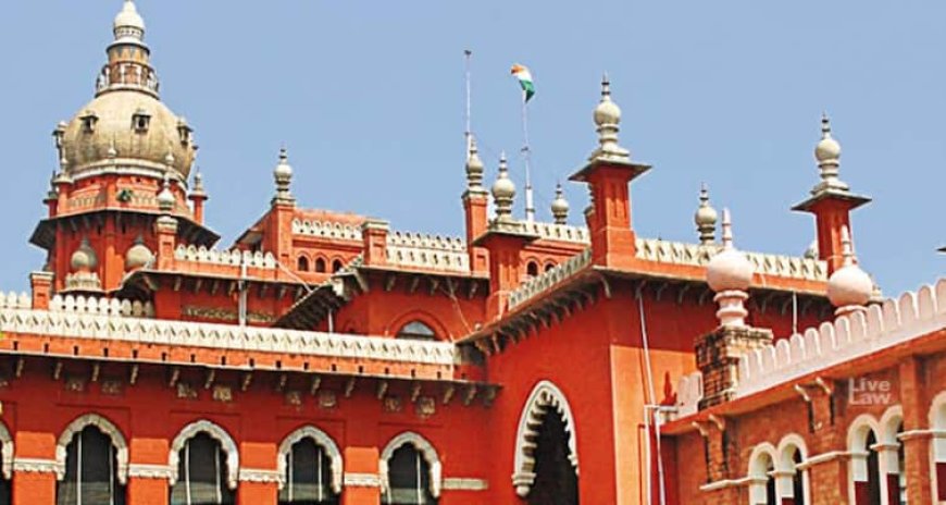 'राजमार्गों पर रैलियां तब तक नहीं होंगी जब तक...', करूर भगदड़ के बाद मद्रास HC का बड़ा आदेश