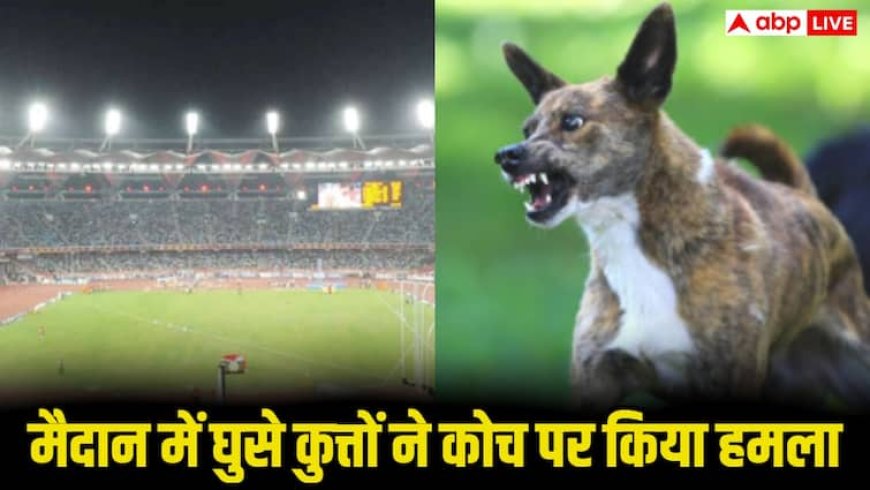 World Para Athletics Championships 2025: पूरे स्टेडियम में मचा हड़कंप! आवारा कुत्तों ने कोचों पर किया हमला, तुरंत अस्पताल ले जाया गया