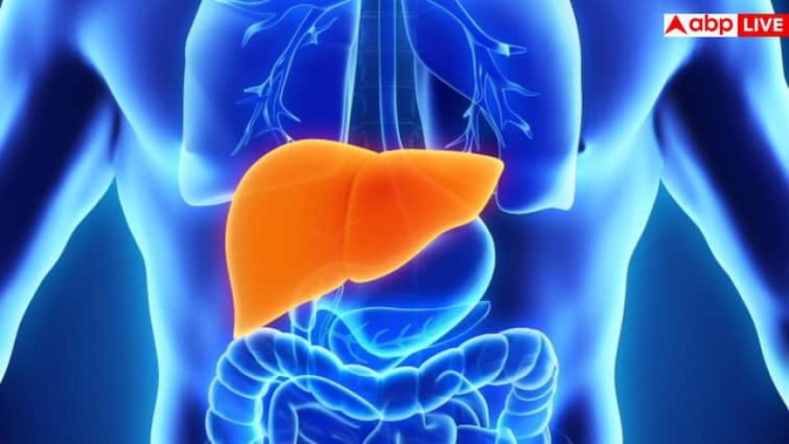 Liver Damage Symptoms in Dengue: लिवर को भी इफेक्ट करता है डेंगू, ये लक्षण दिखें तो हो जाएं सावधान