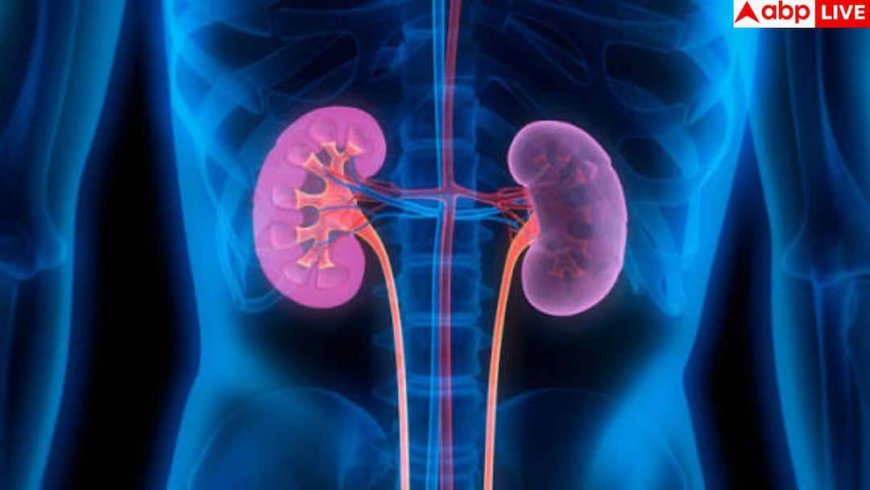 What Happens to Old Kidney after Transplant: किडनी ट्रांसप्लांट के बाद पुरानी किडनी का क्या करते हैं डॉक्टर? होश उड़ा देगी यह हकीकत