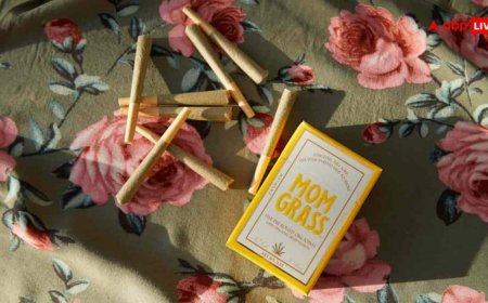 Herbal Cigarettes: क्या हर्बल सिगरेट से भी हो सकता है कैंसर, जानें कैसे करती है ये नुकसान