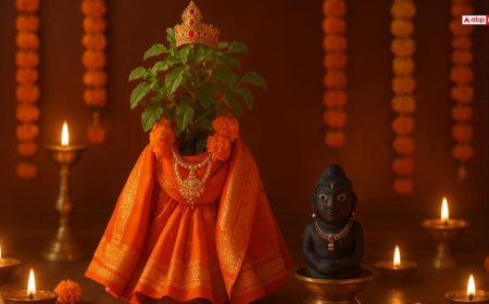 Tulsi Vivah 2025: तुलसी विवाह से दूर होंगी परेशानियां, जानें इस दिन क्या करें, क्या नही करें