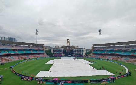 IND W vs SA W Final Weather: कैसा रहेगा भारत-दक्षिण अफ्रीका फाइनल में नवी मुंबई का मौसम, बारिश होगी या नहीं?
