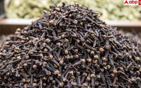 Benefits of cloves: रोजाना लौंग चबाने से मिलते हैं ये 11 फायदे, जान लेंगे तो भूलकर भी नहीं करेंगे इग्नोर