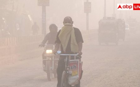 खून में घुसकर नसों में सूजन पैदा कर रहा दिल्ली का प्रदूषण, धीरे-धीरे मौत के करीब आ रहा आम इंसान!