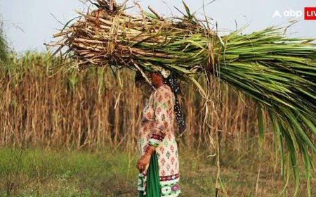 इस फसल को उगाने वाले किसानों की बढ़ेगी आमदनी! बदलने जा रहा है 58 साल पुराना कानून