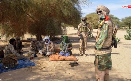 माली में 5 भारतीय अगवा, देश में मच गया हड़कंप, जानें अब क्या कर रहा भारत?