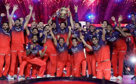 डिफेंडिंग चैंपियन RCB कर सकती है 5 बड़े खिलाड़ियों को रिलीज, लिस्ट में कई चौंकाने वाले नाम शामिल; देखें