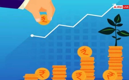 SIP निवेशक ध्यान दें! ज्यादा फंड्स का मतलब हमेशा बेहतर रिटर्न नहीं होता, जानें एक्सपर्ट की राय