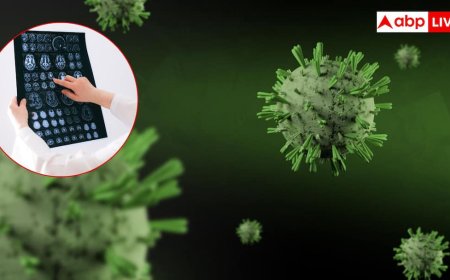 अब बैक्टीरिया खुद कैंसर का ट्यूमर ढूंढकर करेंगे इलाज, लेकिन इंसानों को नहीं पहुंचाएंगे नुकसान