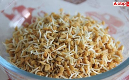 Methi Seeds: न रहेगी कब्ज की दिक्कत और वजन भी घटेगा, पानी में भिगोकर ऐसे चबाएं मेथी दाना