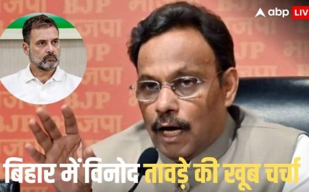 'नेशनल चाइल्ड को नाराज करने के लिए माफी...', किसी नेता का नाम लिए बिना विनोद तावड़े ने ली चुटकी