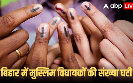 Bihar elections 2025: 17.7% आबादी और विधायक केवल 10... NDA की प्रचंड जीत के बीच हैरान करने वाला आंकड़ा!