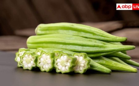 एक महीने तक रोज भिंडी और नींबू का पानी पीने से क्या होगा? जानें 6 हैरान करने वाले फायदे