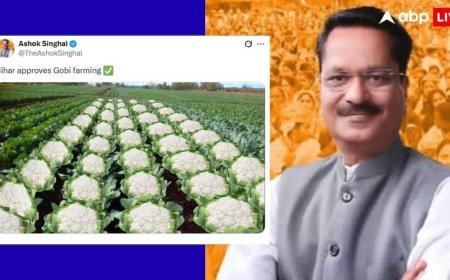 'बिहार में गोबी की खेती को मंजूरी', NDA की जीत के बाद असम के मंत्री की पोस्ट वायरल; भड़की कांग्रेस