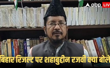 Bihar elections 2025: 'सिर्फ मुसलमानों का काम नहीं...', AIMIM की जीत पर क्या बोल गए मौलाना शहाबुद्दीन रजवी