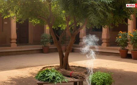 Neem ke Totke: कड़वे नीम में छिपा है सौभाग्य का राज, ये 5 गुप्त ज्योतिष उपाय बदल देंगे तकदीर..
