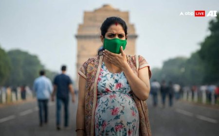 Pregnancy Air Pollution Risk: 400+ AQI में प्रेग्नेंट महिलाएं भूलकर भी न करें ये काम, बच्चे पर पड़ सकता है उल्टा असर