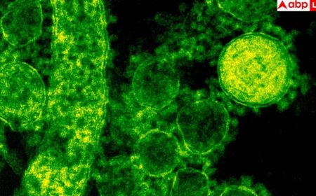 Viral Infection: देश में वायरल इंफेक्शन बढ़ा तो डॉक्टरों ने किया अलर्ट, डरा देगी ICMR  की रिपोर्ट