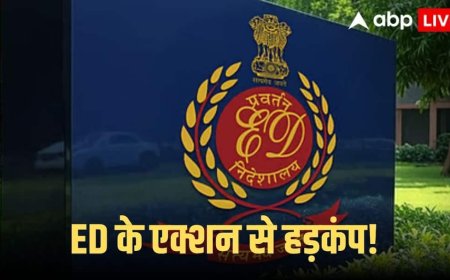 ED Raids: ED की बड़ी कार्रवाई! लेवी लॉजिस्टिक्स घोटाले में करोड़ों की संपत्ति जब्त, मुंबई, दिल्ली समेत गुरुग्राम में छापेमारी