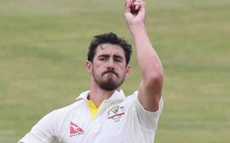 Mitchell Starc Career Best Figures: मिचेल स्टार्क ने बरपाया कहर, लिए 7 विकेट,  बनाया ये खास रिकॉर्ड