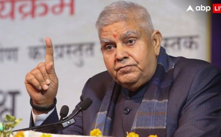 'मैं अपना उदाहरण नहीं दे रहा हूं', उपराष्ट्रपति पद से इस्तीफे के बाद पहली बार मंच पर नजर आए जगदीप धनखड़