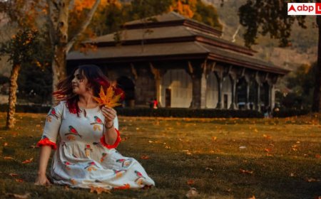 Mystical Kashmir: IRCTC का  शानदार टूर पैकेज, सिर्फ इतने रुपये में मिलेगा मिस्टिकल कश्मीर की सैर का बेहतरीन मौका