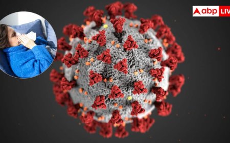 क्या है सबक्लेड के और इसे क्यों माना जा रहा खतरनाक फ्लू स्ट्रेन, जानें टेंशन में क्यों वैज्ञानिक?