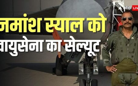 लड़ाकू विमान के पास खड़े स्याल की तस्वीर पोस्ट कर क्या बोली वायुसेना, शेयर किया अंतिम विदाई का वीडियो